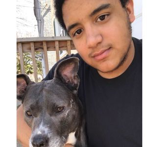 Meet your Posher, Herbert